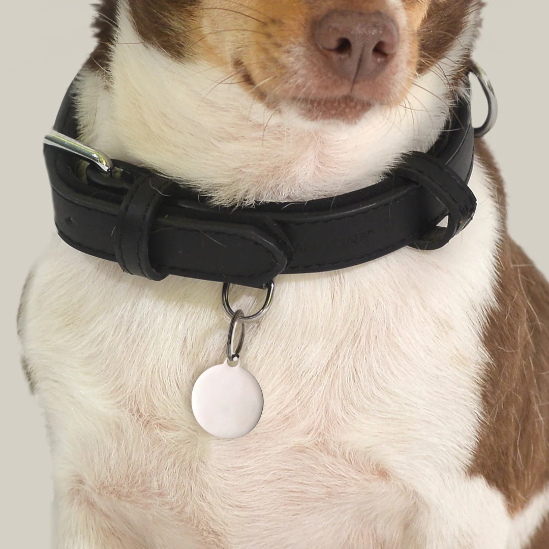 MEDAGLIETTA PERSONALIZZABILE CANE E GATTO CERCHIO - Image 2