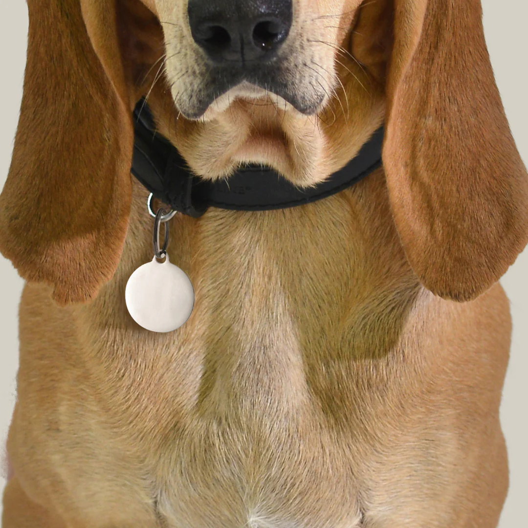 MEDAGLIETTA PERSONALIZZABILE CANE E GATTO CERCHIO - Image 8