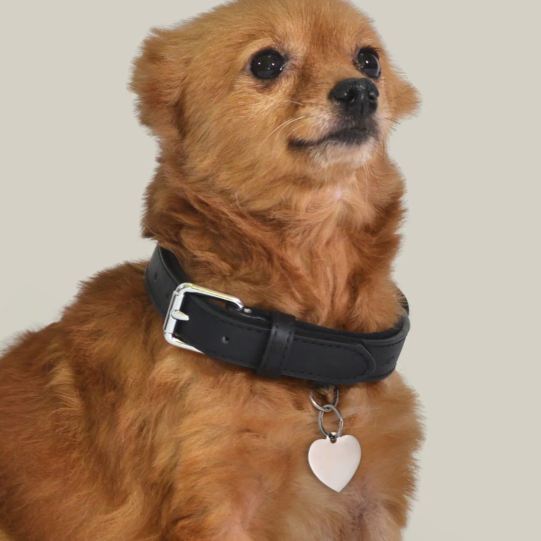 MEDAGLIETTA PERSONALIZZABILE CANE E GATTO CUORE - Image 3