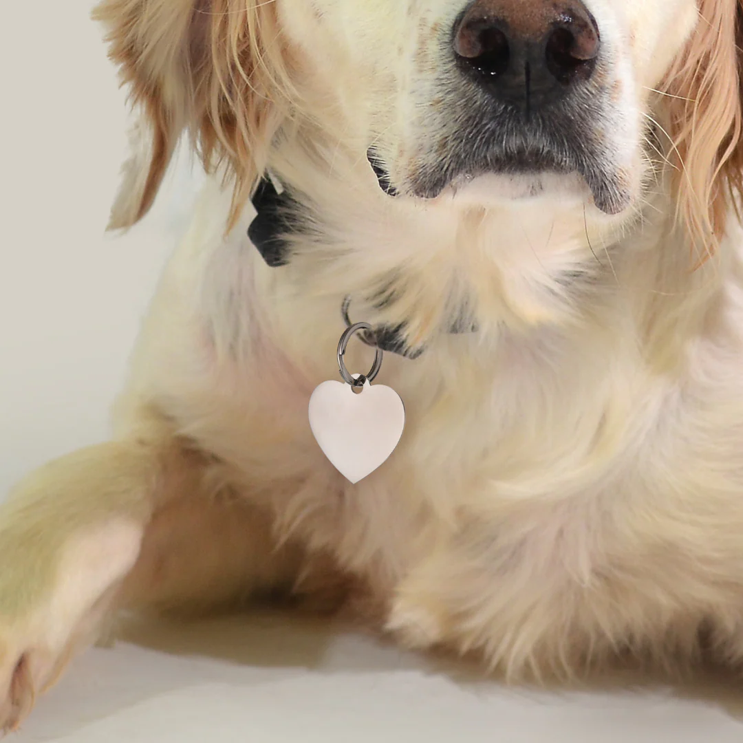 MEDAGLIETTA PERSONALIZZABILE CANE E GATTO CUORE - Image 8